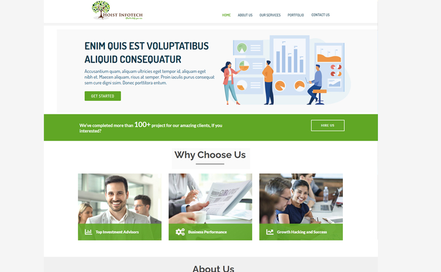 Hoist Infotech